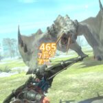 モンハンNOWな日々【第34回】まだ討伐していない星9ドスジャグラスとベリオロスに挑む