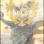 モンハンな日々【第134回】NOWドシューでの星10大型モンスター討伐